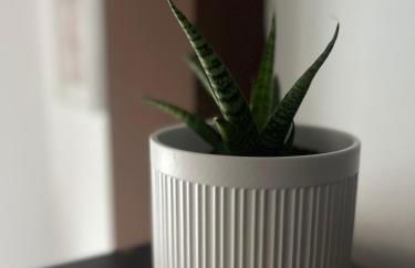 Pegadas no mar - Foto 16