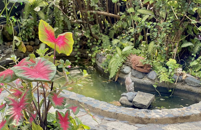 Villa Palomas A Unos Pasos De Playa La Ropa - Foto 45