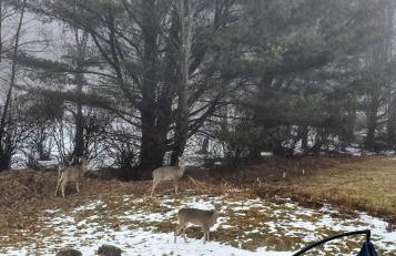 Cozy House in Long Pond 3 bedrooms 10 people - Foto 35