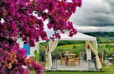 La collina sui trabocchi - Foto 58