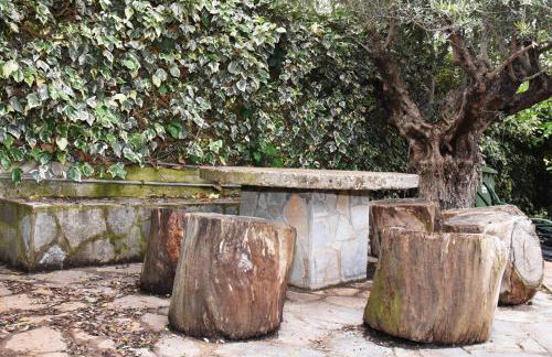 Terre Cretoise - Foto 27