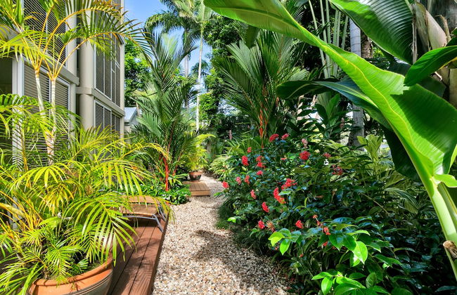 Port Douglas Apartments - Adults Only Oasis - Foto 23