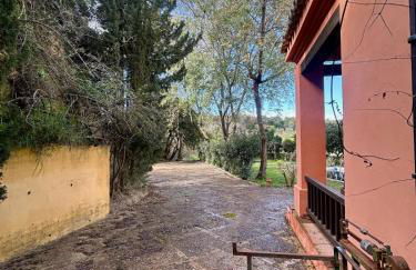 Hispalis Villa de Sanlúcar - Foto 12