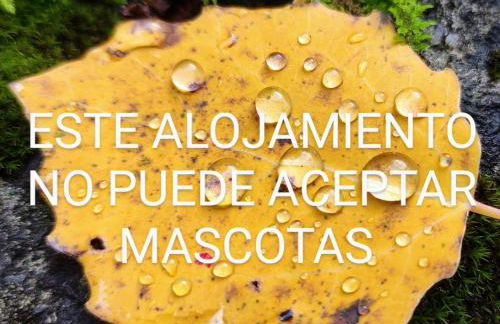 Pleta del Mon - Photo 7