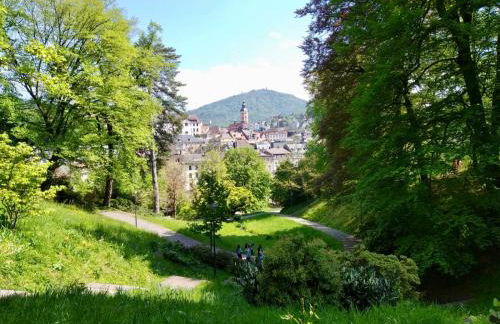 Apartments Alice & Julia - Foto 36