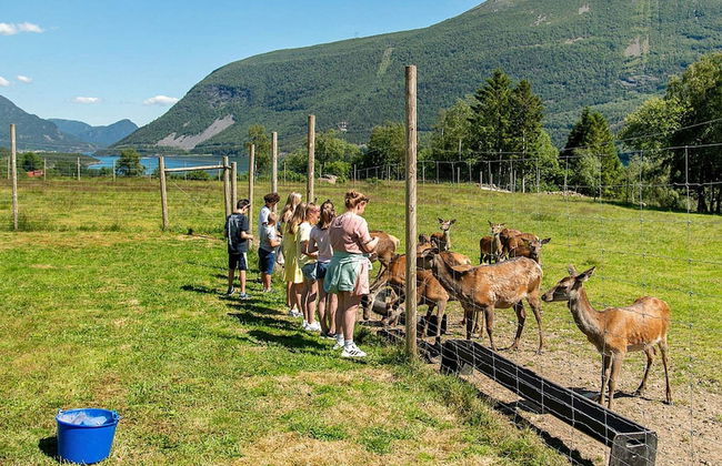 12 Person Holiday Home in Alfoten - Foto 28