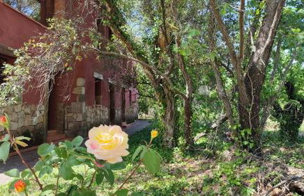 Apartamentos Rurales La Oropendola - Foto 6