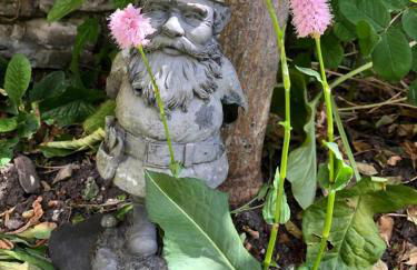 Littlemead - Newly renovated private studio near Glastonbury - Foto 26