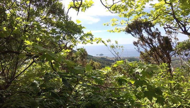 Lagoa do Fogo Hiking Tour - Foto 3