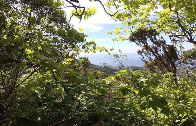 Lagoa do Fogo Hiking Tour - Foto 3