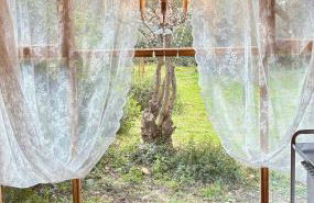 Eudaimonia Wooden Suites Nafplio Kandia - Foto 14