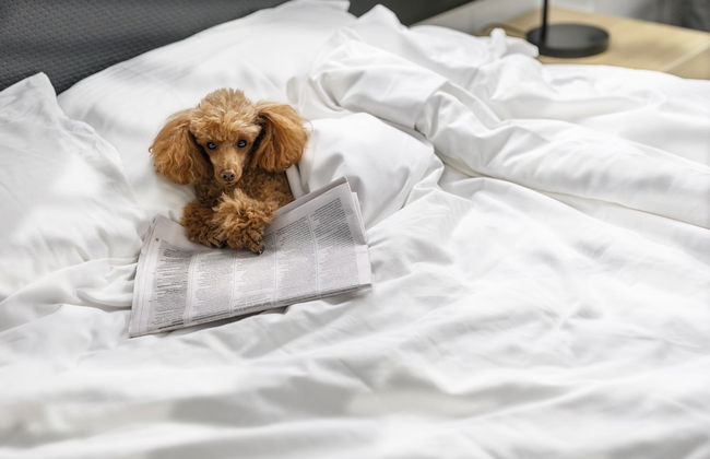 Quest Robina - Photo 32