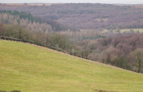 The Old Robin Hood - Foto 36