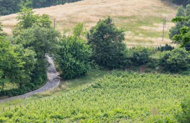 Fattorie di Montechiaro - Foto 55