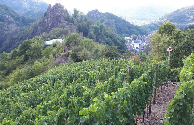 Holiday Apartment Oasis - Foto 14