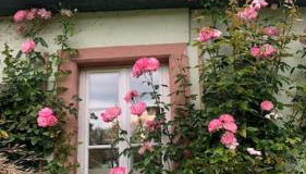 Ferienwohnung in historischer Mühle - Foto 2, Garden