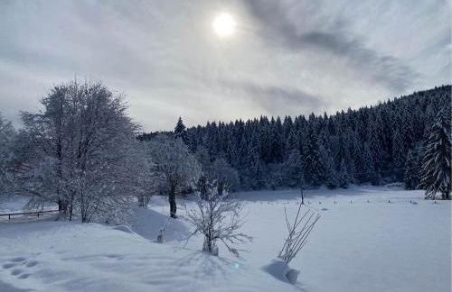 Casa Monte Zebio - Foto 23