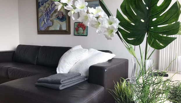 Unique Holiday Home in Bergen aan Zee With Terrace - Foto 4, Wohnzimmer