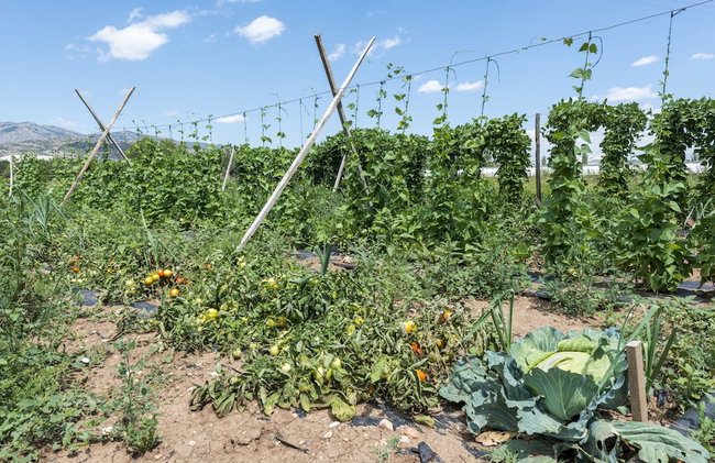 Tefenni Villas - Foto 77