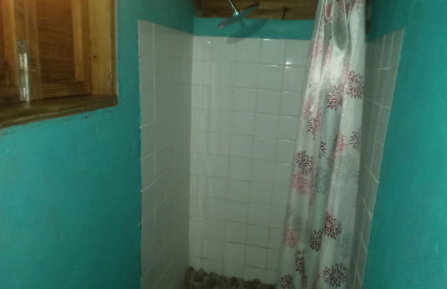 Berkey's Jungle Paradise - Photo 39