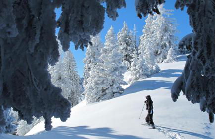 Chalet Arpitan - les Carroz - Grand Massif - Foto 58