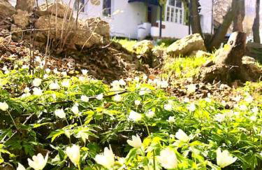 W Karkonoszach na Chacie jacuzzi, sauna, bilard, leśny park - Foto 22