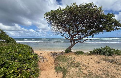 Private Beachfront Ocean View with Resort Amenities! - Foto 35