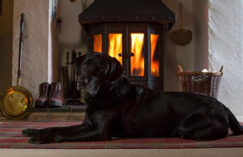 Old Droomer - Photo 31