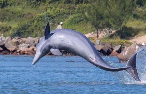 Comfort and Charm - Foto 33