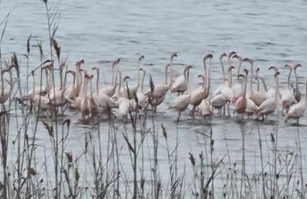 Alma&Mateo - Foto 40