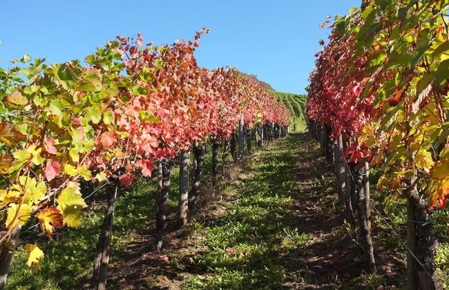 Ferienwohnung Haus Kotthoff - Foto 39