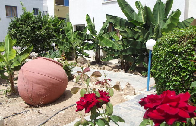 Kefalonitis Apartments - Foto 55