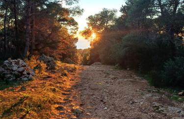 Casa Porto Selvaggio - Foto 55