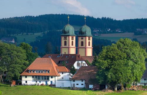 Ferienwohnung Meierhof, 38qm - Foto 6