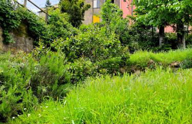 FORYOU Casa Storica nel Parco Cinque Terre - Foto 43