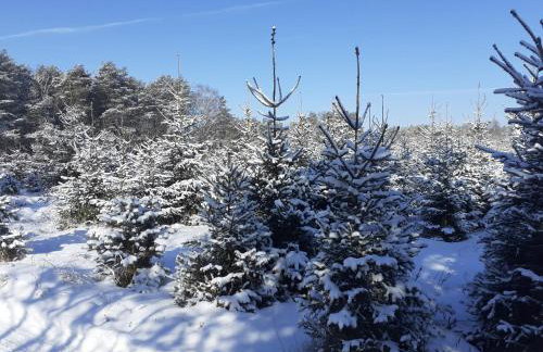 Agroturystyka Leśna Malinka - Foto 21