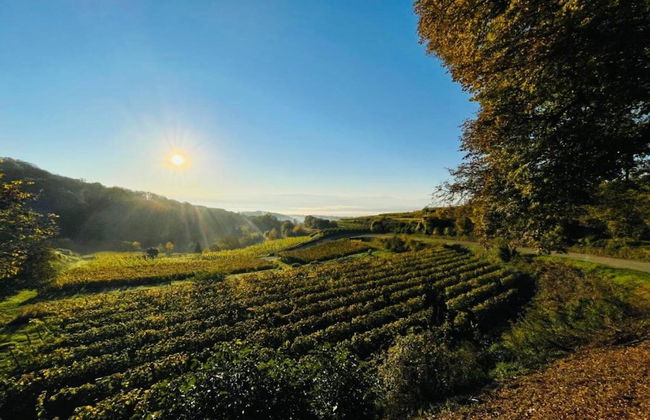 Holiday Apartment Monet in Oberrotweil - Foto 34