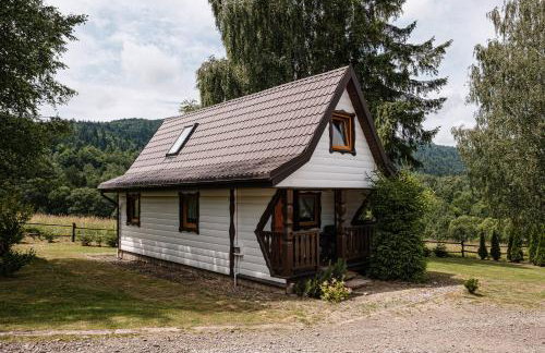 Dom Malowany domki - Foto 70