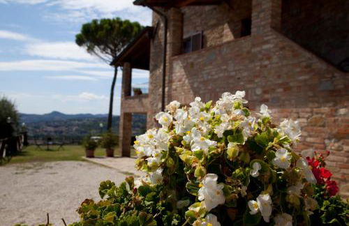 Agriturismo San Fedele - Photo 41