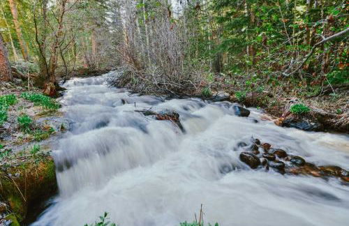 Tranquil Dumont Home with Creek and Mtn Views! - Foto 43