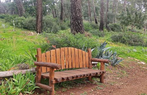 Lunamora 4 - Foto 37