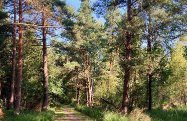 Charmantes Ferienhaus Wolf Schaefer - Foto 23