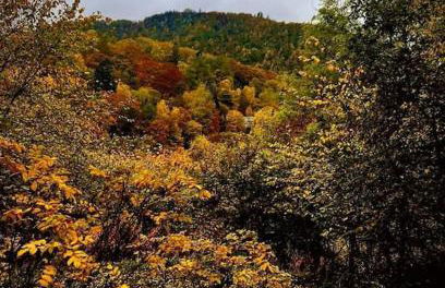 Riverside Lodge in Killiecrankie - Foto 16