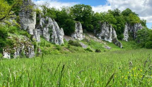 Mitten im Altmühltal - 110 qm - Photo 3