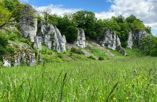 Mitten im Altmühltal - 110 qm - Foto 3