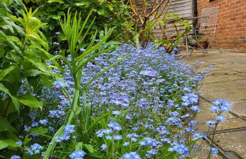 Cheerful, cosy, one bedroom home with patio and parking - Photo 7