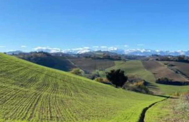 Holiday Home in Belforte With Pool - Foto 24