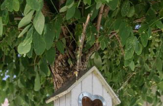 Baltiq Spot Rewa - Foto 42