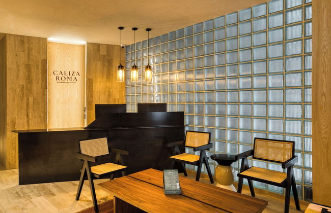 Caliza Roma Residences by Tasman - Foto 3