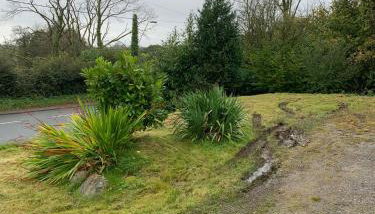 Spacious romantic party cottage with log burner and Ultrafast Fibre near pub Pet friendly - Foto 3